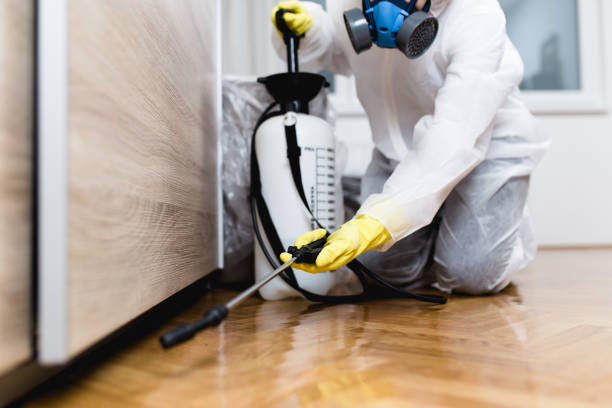 Best Best Pest Control Companies  in Pittsville, MD